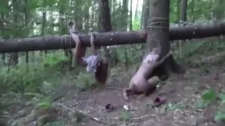 โคตรโหด เดินมาเจอศพสาวถุูกมัดกับกิ่งไม้ แทนที่จะช่วยดันเย็ดก่อนซะงั้น